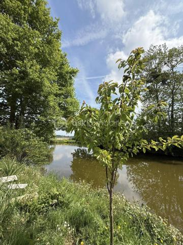 Vous rêvez d’un endroit paisible pour vous ressourcer ou lancer un projet nature ? Ne cherchez plus !

Terrain d’environ 2900 m² en pleine campagne, avec :
 • Abri de jardin de 25 m² avec sa terrasse en bois parfaite pour chiller ! ⛱️
 • Étang avec poissons pour les amateurs de nature et de pêche 🎣
 • Internet & fibre déjà installés ⚡️
 • Électricité pour les lumières 💡
 • Deux petits panneaux solaires déjà en place, avec possibilité d’en ajouter ☀️
 • Eau raccordable (environ 1 500 €) 🚰

Localisation au top :
 • À 45 min de Laval 🚗
 • À 15 min de Château-Gontier, Craon et Segré-en-Anjou Bleu 📍

Un lieu idéal pour vos week-ends nature, vos projets de loisirs ou simplement pour décrocher du quotidien 🌿