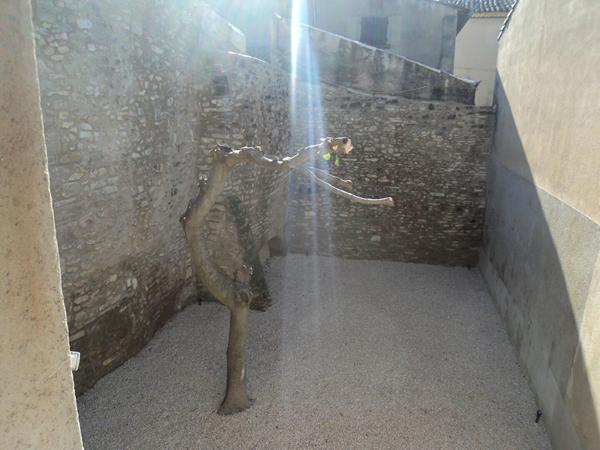 APPARTEMENT T3 MEUBLE 1ER ETAGE ENTIEREMENT REFAIT A NEUF - CLIMATISATION - GARAGE - CAVE