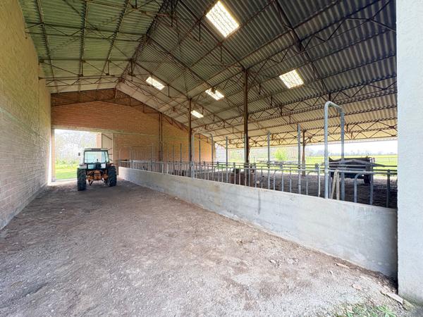Hangars agricoles à vendre Ox Muret 31600
