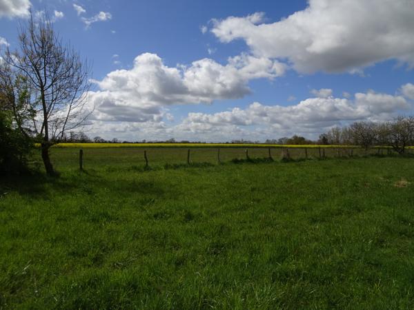 Hangars agricoles à vendre Ox Muret 31600