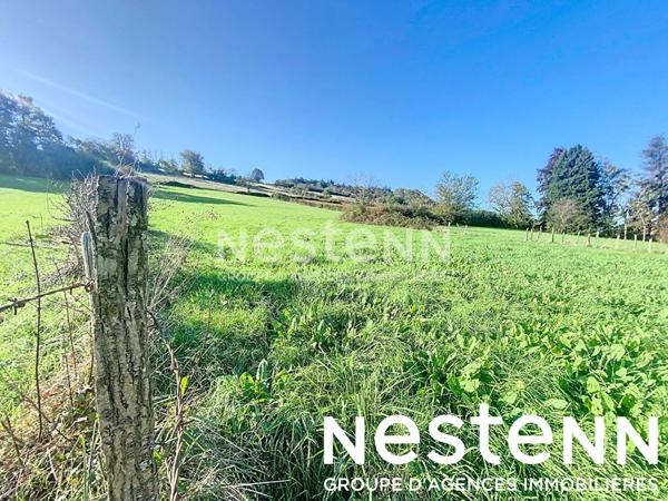 A vendre : Terrain à bâtir - 71960 LA ROCHE VINEUSE