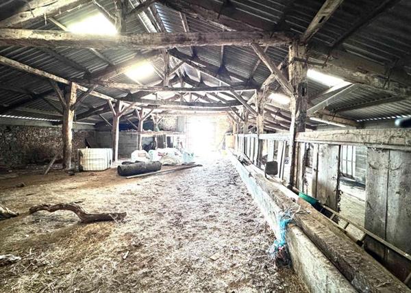 Propriété Agricole  6,5 Hectares