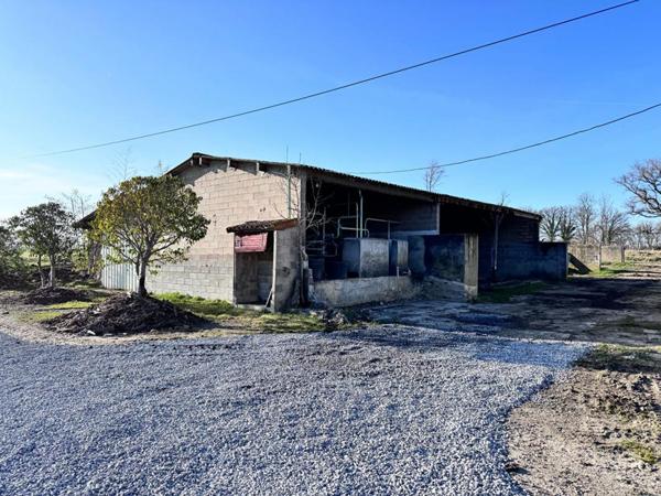 Propriété Agricole  6,5 Hectares