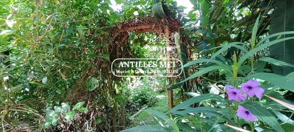 GRANDE MAISON FAMILIALE AUTHENTIQUE ET LUMINEUSE