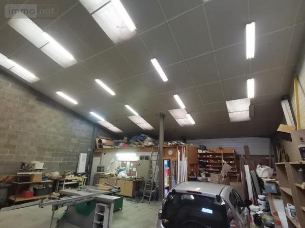 Entrepôt à vendre à Avoine dans l'Indre-et-Loire (37420), ref : 37049-100