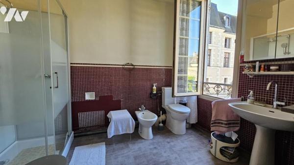 VENDOME COEUR DE VILLE MAISON BOURGEOISE 330m² 