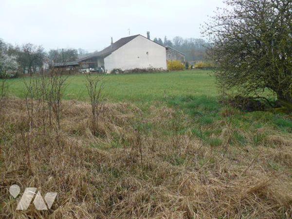 Description non communiquée