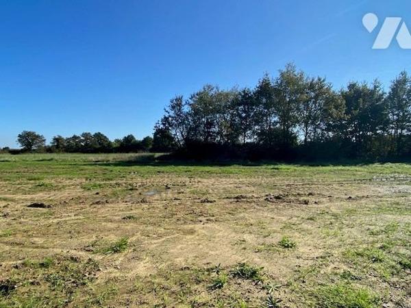 ST COLOMBAN , bourg, Lotissement les Noes Feuves