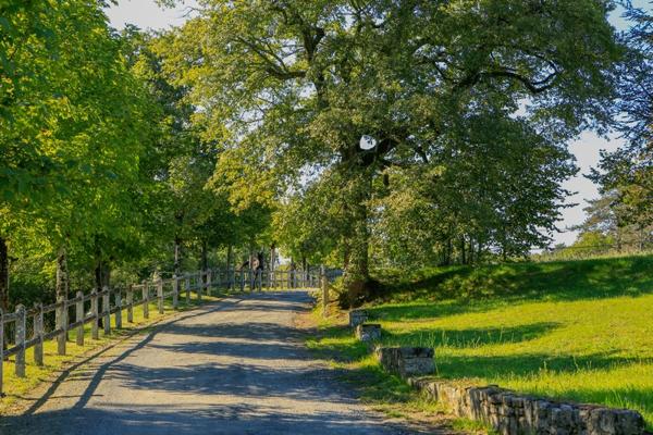 Beau domaine de 80 hectares avec grand étang aux portes d'Angoulême