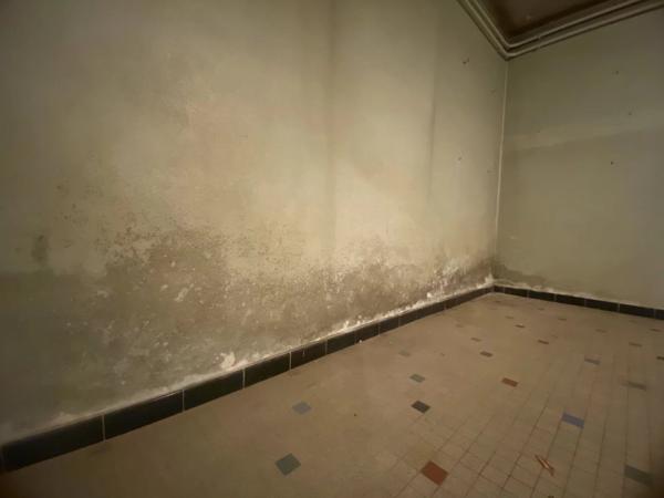 Vente Maison 10 pièces 270 m2 à Pougues-les-Eaux