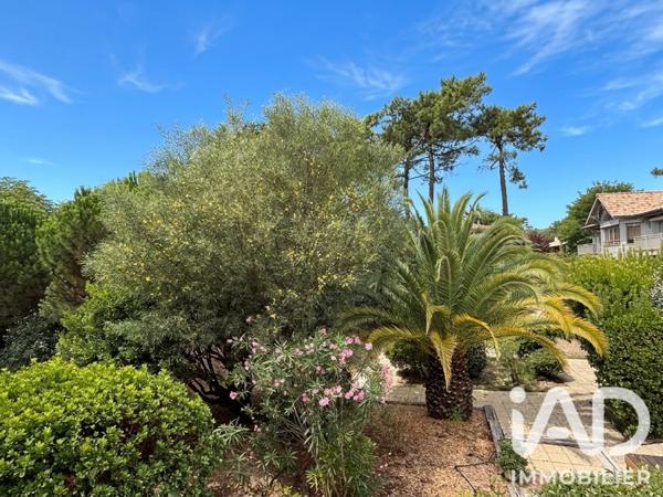 Appartement à vendre 2 pièces 31 m² Lège-Cap-Ferret