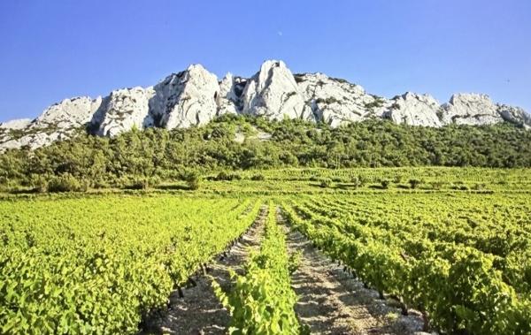 Vente Activité commerciale Restaurant Gigondas