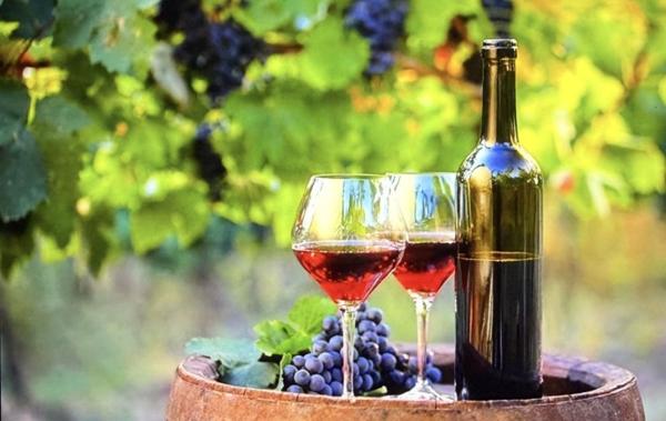 Vente Activité commerciale Restaurant Gigondas