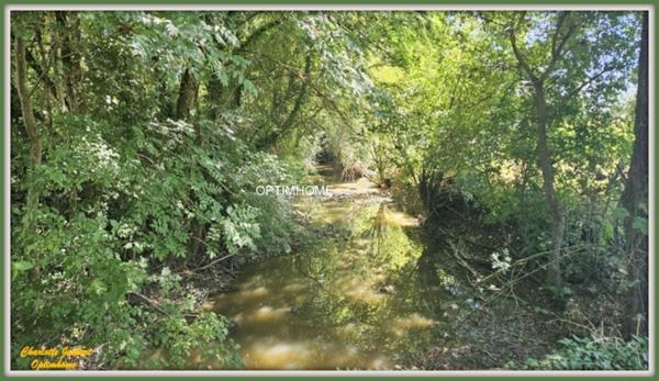 moulin à rénover avec dépendances et plus de 1,5 ha de terrain