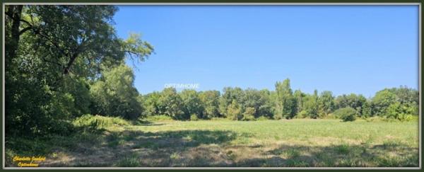 moulin à rénover avec dépendances et plus de 1,5 ha de terrain