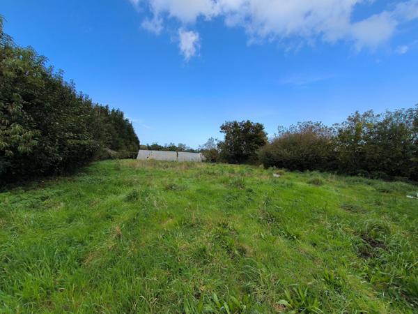 Maison sur terrain de 2500 m2