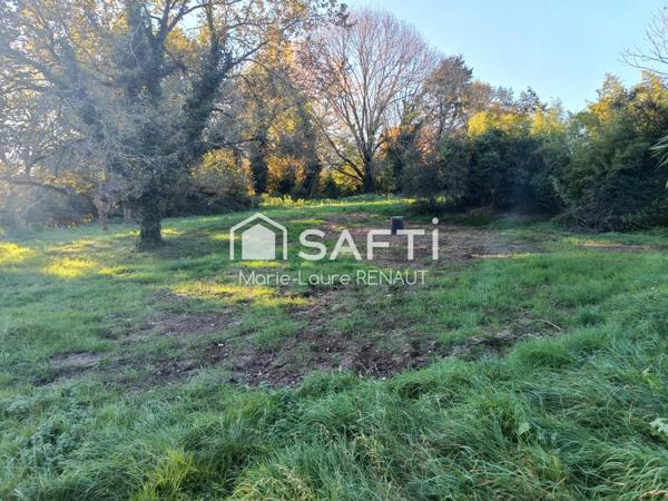 Terrain plat - Bien placé - Environnement campagne - Axe Graulhet - Réalmont