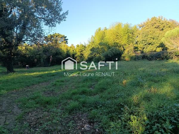 Terrain plat - Bien placé - Environnement campagne - Axe Graulhet - Réalmont