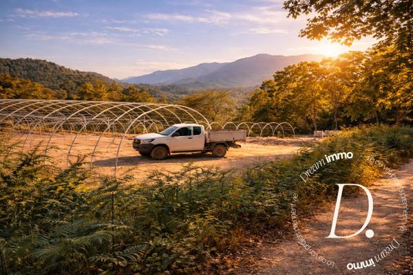 Mas catalan authentique sur 92 hectares