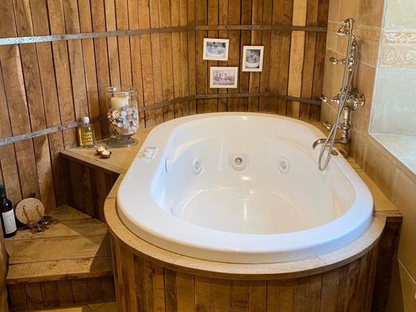 Dpt Gers (32), à vendre BAZIAN propriété P12 de 430 m² avec piscine et terrain de tennis - Terrain de 1,60 Ha