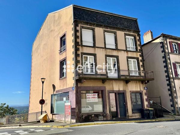 Maison 25 pièces - 400 m² Exclusivité efficity