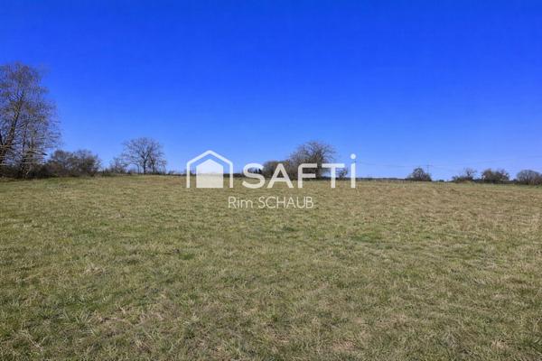 Rare à la vente : Amoureux de la nature , une maison à rénover sur un parc de 7000 m²