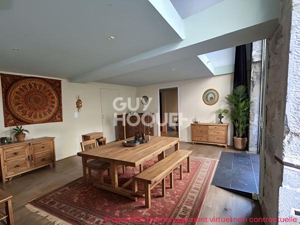 Loft ou local double usage possible plateau croix rousse