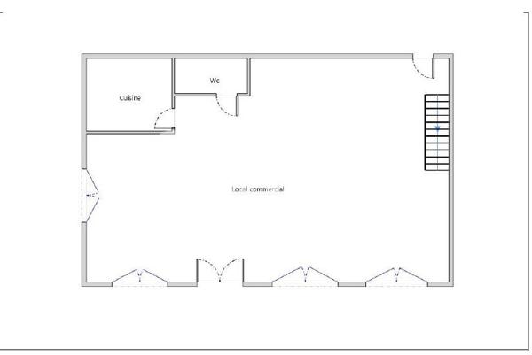 Loft ou local double usage possible plateau croix rousse