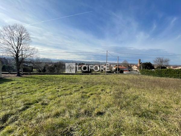 Achat terrain Montesquieu-Volvestre - 2369 m² - 60 000 €