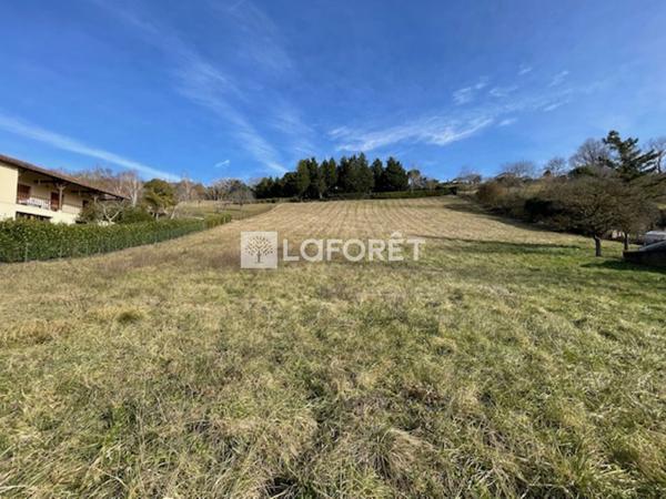 Achat terrain Montesquieu-Volvestre - 2369 m² - 60 000 €