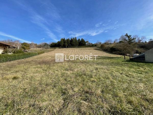 Achat terrain Montesquieu-Volvestre - 2369 m² - 60 000 €