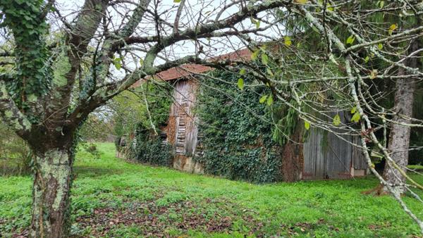 24400 fermette proche  Mussidan : maison , 2 granges , hangar tabac et hangar sur 8000 m²