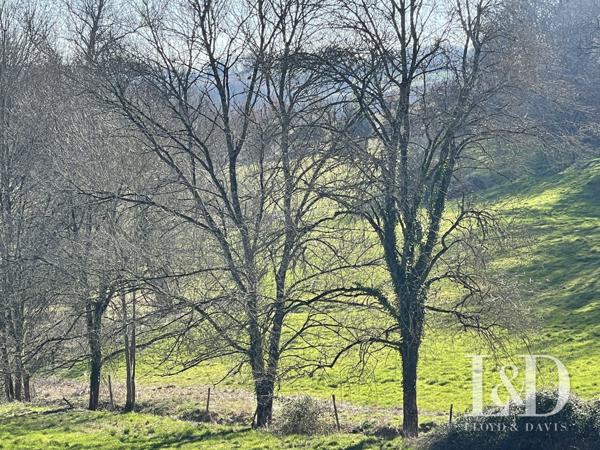 Propriété 355 m² habitables et  31 hectares de terrain
