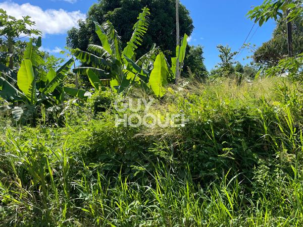 Terrain Saint Benoit 589 m2