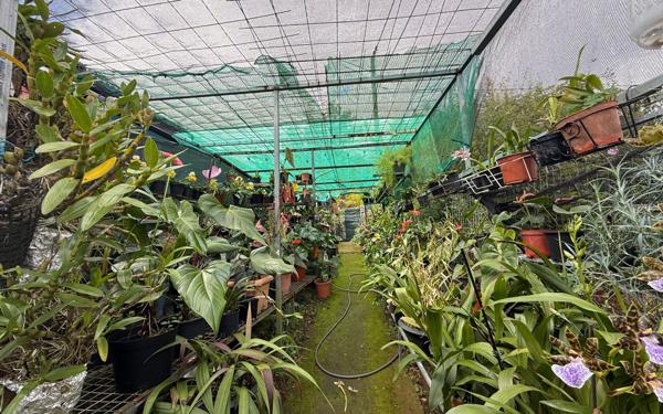 Maison à vendre    3 pièces •  Le Tampon