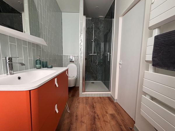 Appartement meublé Orleans-Dunois 2 pièce(s) 34.17m2