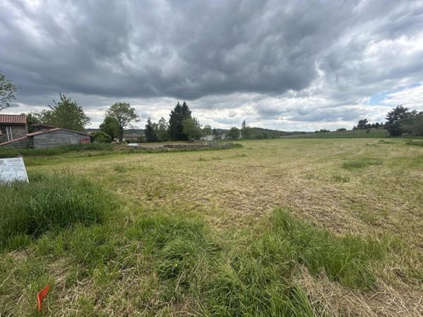 Vente / Terrain constructible