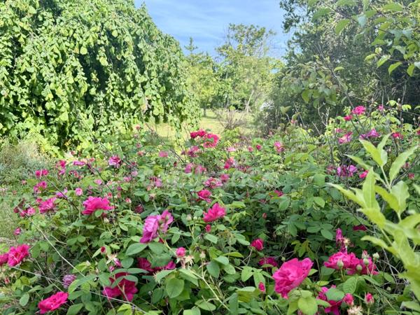 Propriete à vendre 10 pièces LIMOUX (11) 205,07m2 habitables sur 2,05 hectares de terrain
