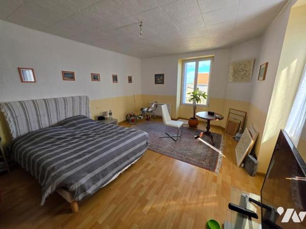 BORDS DE LOIRE MAISON EN PIERRES 5 pièces + garage et dépendances