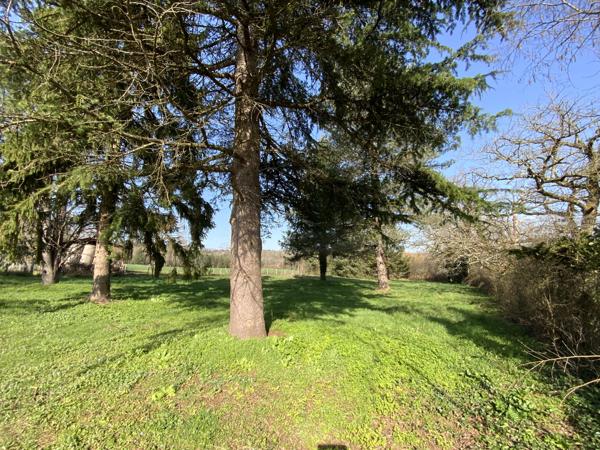 Maison 5 pièces - 107 m² Exclusivité efficity