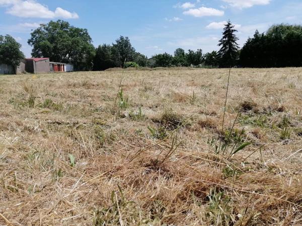 Vente Terrain 860 m2 à Marssac-sur-Tarn