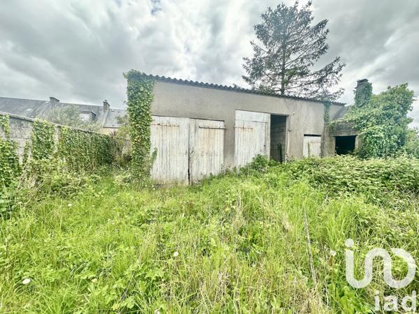 Terrain à vendre 498 m² Picauville