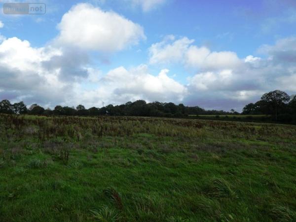 Maison à vendre à Guern dans le Morbihan (56310), ref : 56075-2282