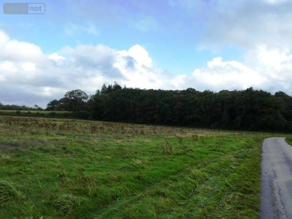 Maison à vendre à Guern dans le Morbihan (56310), ref : 56075-2282