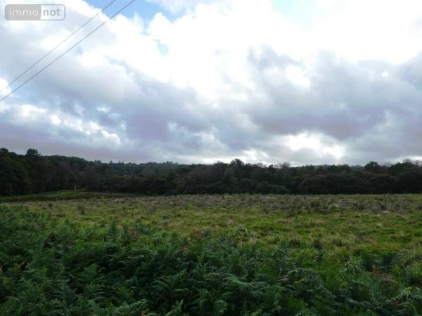 Maison à vendre à Guern dans le Morbihan (56310), ref : 56075-2282