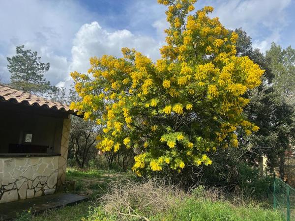 Terrain 500 m²  ROCHEFORT DU GARD   119 000