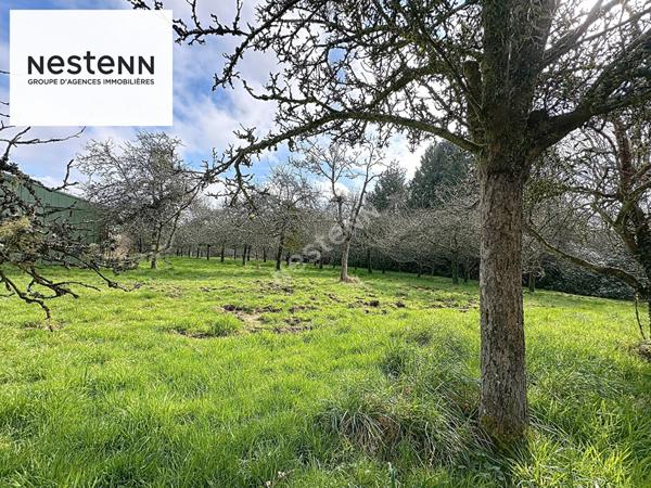 Maison en campagne de GOUESNACH - Vie de plain-pied - Néo-bretonne