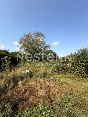 Maison en pierre à vendre à LOCMINE à rénover de 44 m² avec un jardin.