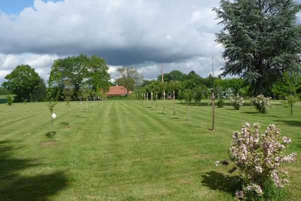 Maison à vendre à Blessac (23200) - Creuse