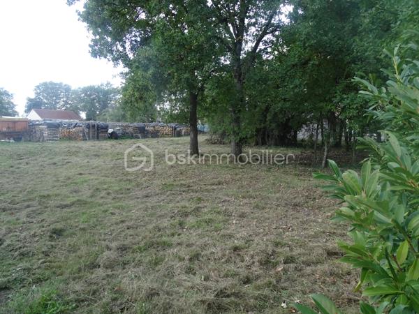 Terrain commercial de 1 140 m²